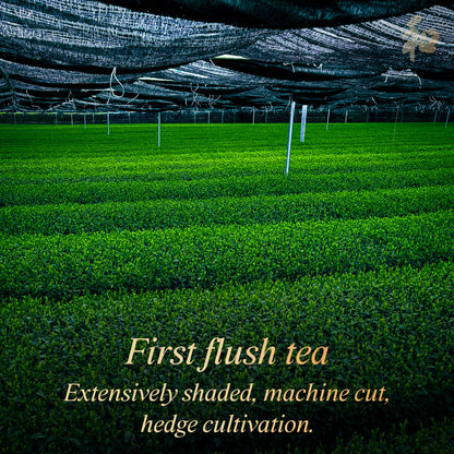 Peace 和 Naturalist Matcha