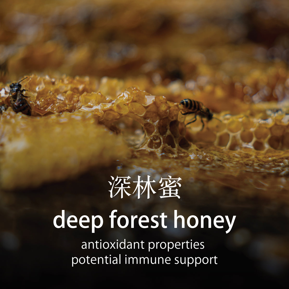 Forest Honey (200ml)