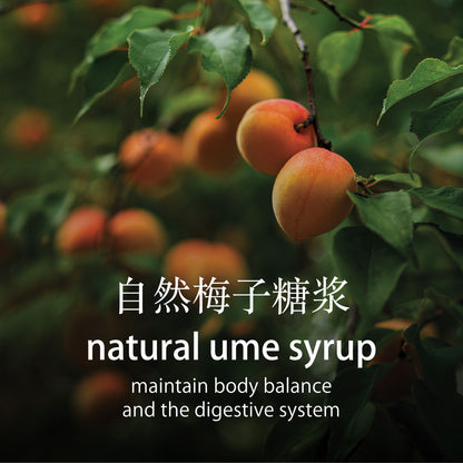 Ume Syrup (200ml)